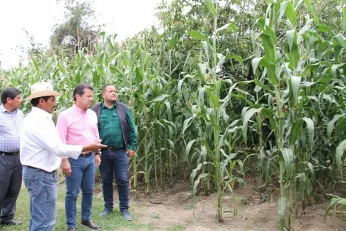 Duplican cosecha productores de San Pedro Cholula gracias al apoyo municipal