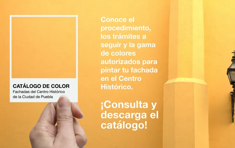 Imagen del artículo