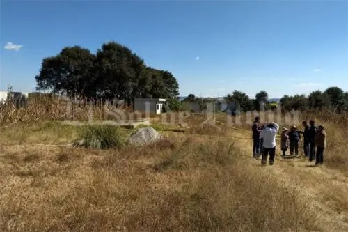 Encuentran a hombre muerto en la Resurrección