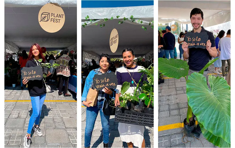 plant-fest-de-cholula