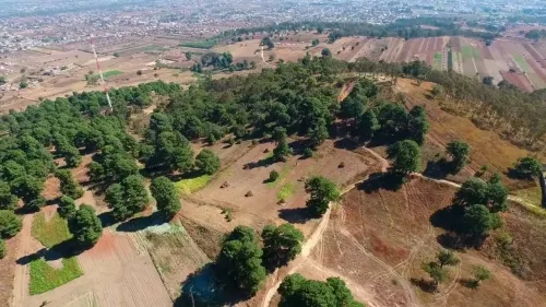 Cerro Zapotecas recibirá intervención ecológica, financiada por Volkswagen