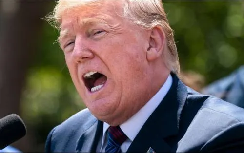 Trump exige que se investigue si el FBI “infiltró” su campaña