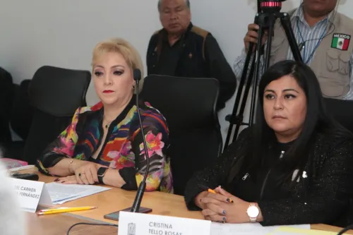 Buscan en Comisión regular ejercicio de establecimientos y cirujanos estéticos en Puebla