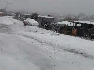 Reportan caída de nieve en 4 estados del país