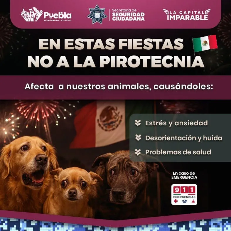 ayto-pue-proteccion-civil-fiestas-patrias