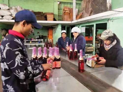 Desde Zacatlán al brindis del 31; producen sidra de manzana de la más alta calidad