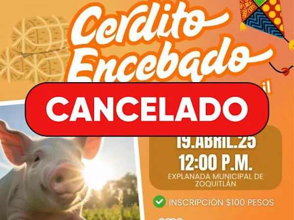 Cerdito Encebado Zoquitlan Cancelado