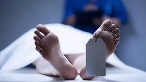 Muere hombre arrollado por ruta 10