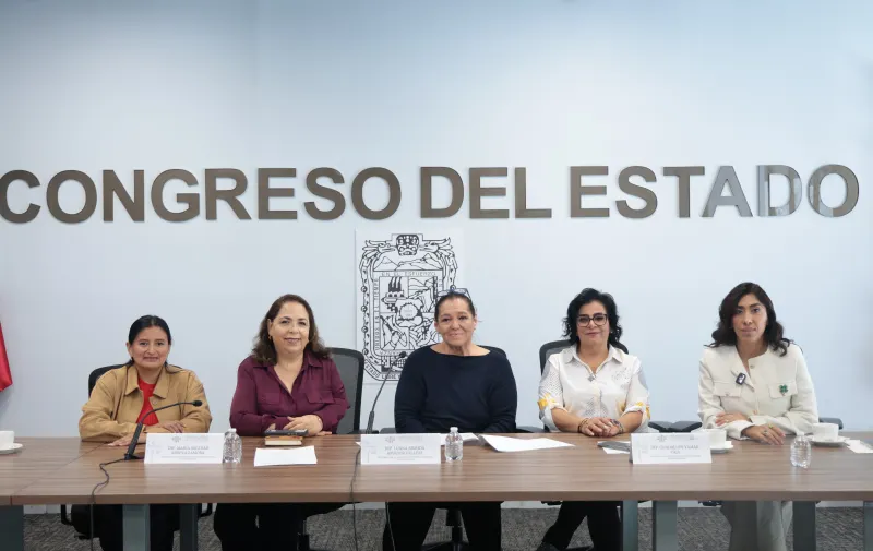 Avala Comisión del Congreso exhorto para revisar el funcionamiento del Registro Estatal de Organizaciones de la Sociedad Civil
