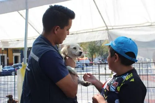 El Ayuntamiento continúa con jornadas de adopción en el Barrio de Analco