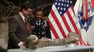 Smithsoniano de Washington alberga a fósil completo de Tiranosaurio Rex