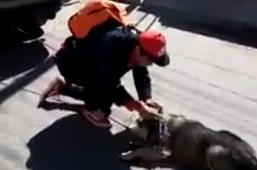 Mujer arrastra a perro con camioneta en Tehuacán