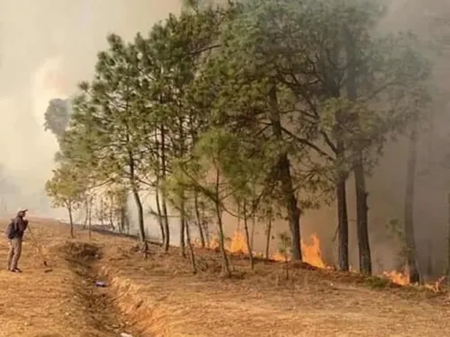 Incendio en la región mixteca deja seis muertos y varios desaparecidos