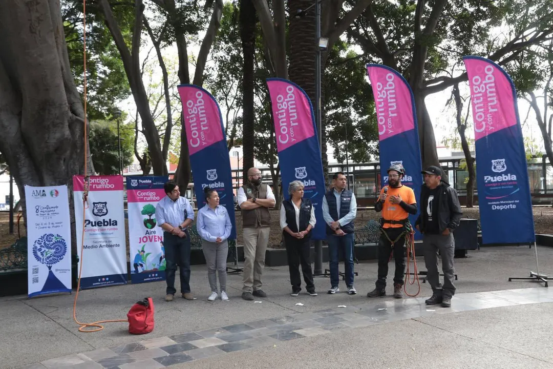 Campeonato Mexicano de Trepa de Árboles
