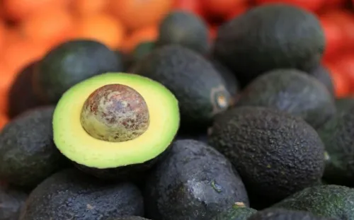 Aguacate, cerca de alcanzar récord de 130 pesos por kilo