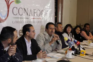 Prevén comercializar en temporada navideña 197,400 árboles