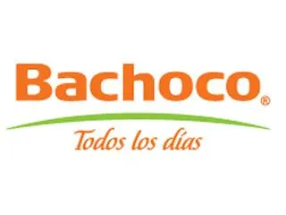 Bachoco tampoco quiere pagar el alumbrado público