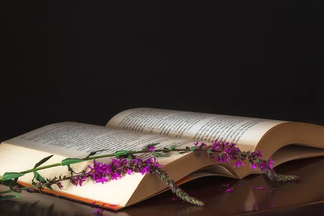 Jornadas de Lectura Femeninas