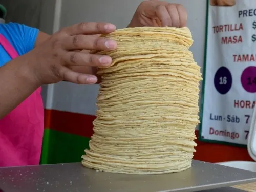 ¡Tortillas por las nubes! En Veracruz venden kilo en 20 pesos