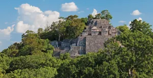 Darán protección federal a 330 mil ha de Calakmul