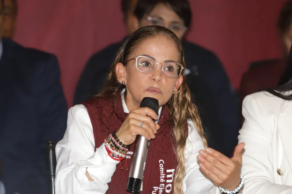 Alejandro Armenta no mete las manos en la renovación del PAN: Morena