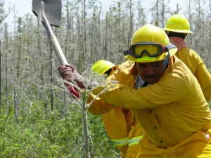 Activan trabajos de prevención de incendios forestales