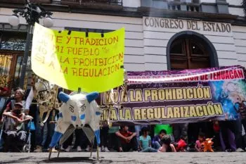 Artesanos se manifiestan contra la prohibición del uso de pirotecnia en el Congreso de Puebla