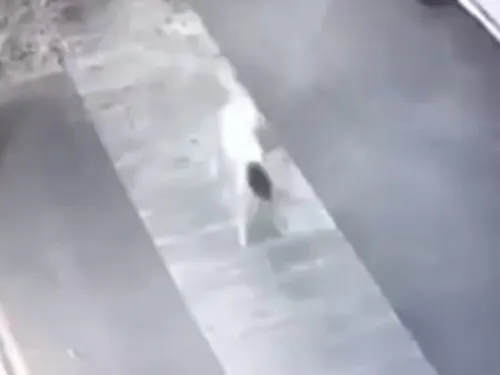 Captan algo aterrador en calles de Tamaulipas