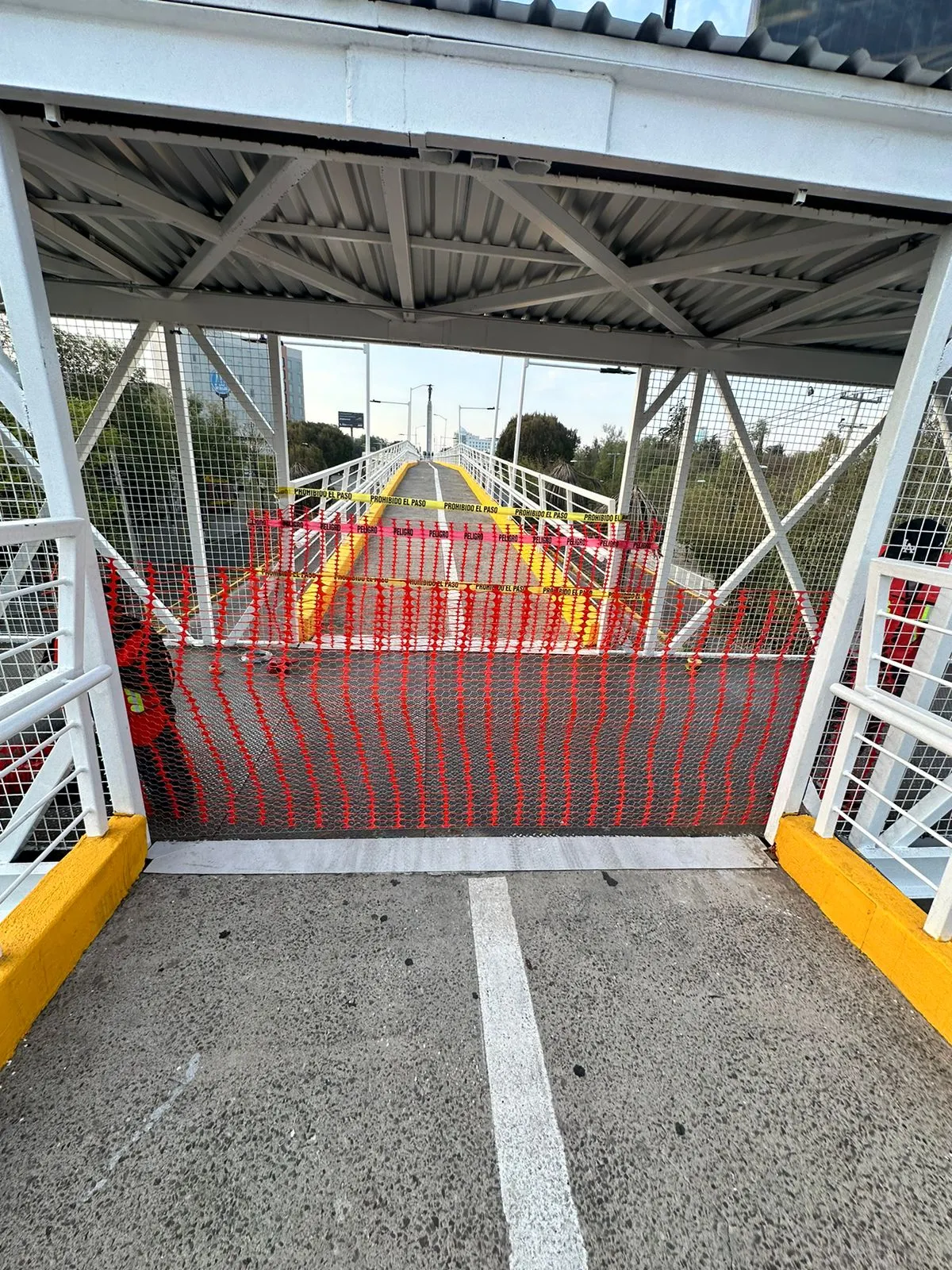 Imagen del artículo