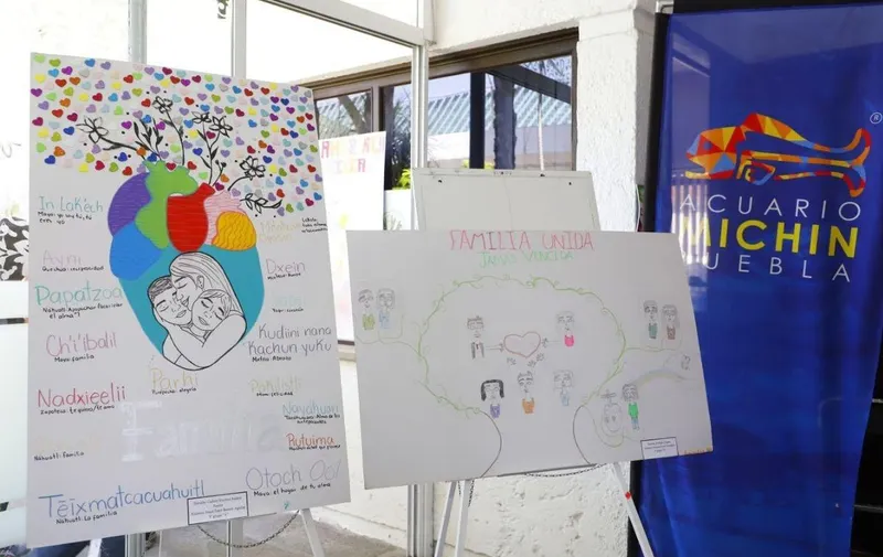 smdif-pue-concurso-dibujo-la-familia-es-amor