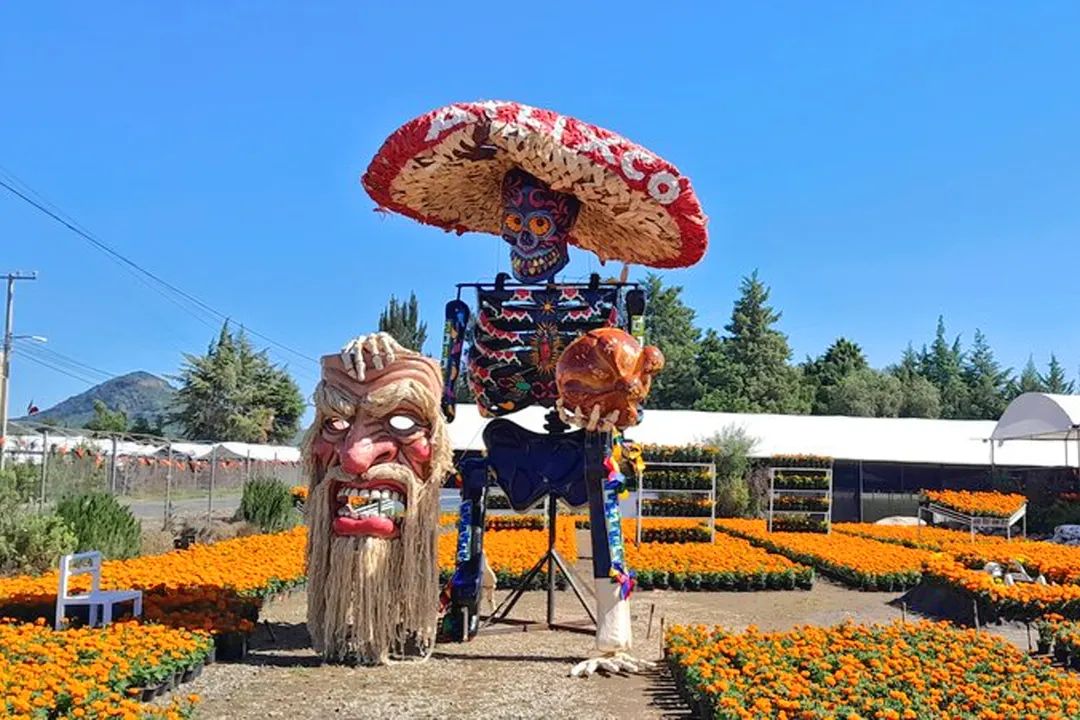 Festival de Cempasúchil
