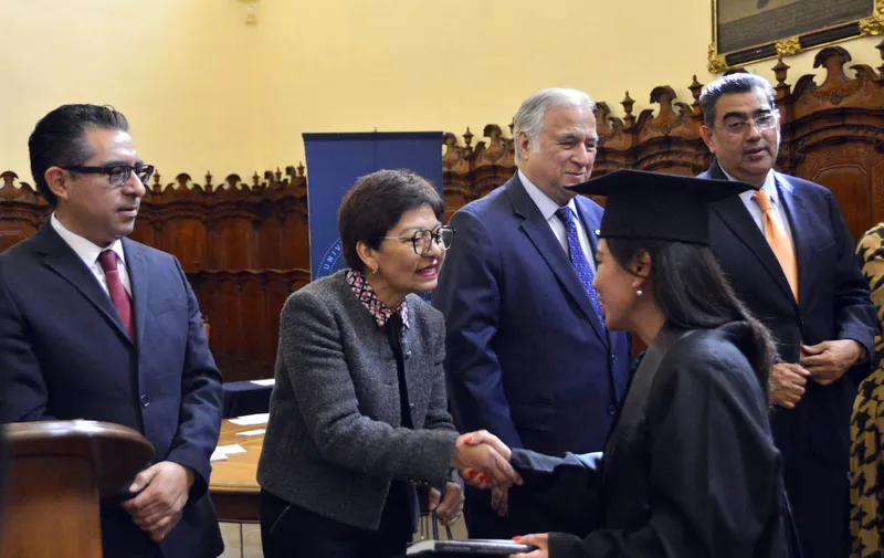 Imagen 2