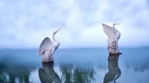 Lago Natron petrifica a los animales como estatuas