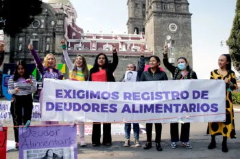 Diputados se suman a la moda de la inconstitucionalidad