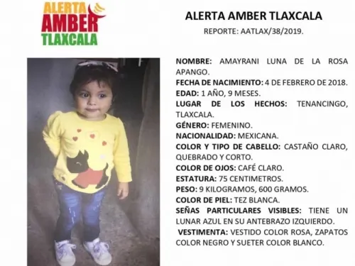 Bebé de 1 año desaparece en Tlaxcala; ayuda a localizarla