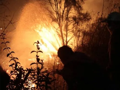 Incendios forestales afectan 3.9 mil hectáreas en 2017: Conafor
