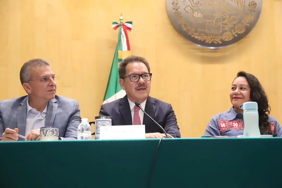 Ignacio Mier Velazco