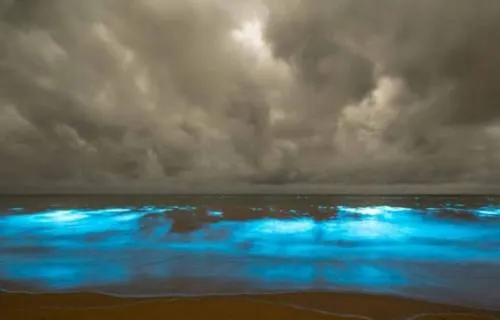La alucinante playa AZUL neón que te dejará con la boca abierta