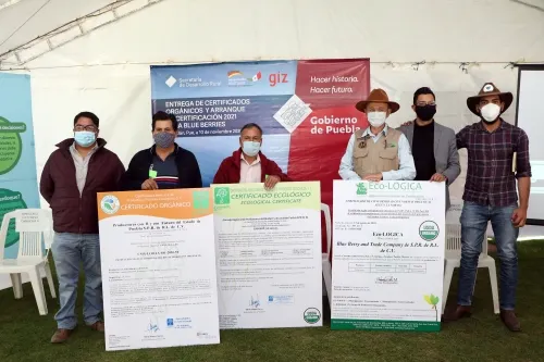 Entrega SDR certificaciones orgánicas a 133 productores de blueberry de Zacatlán