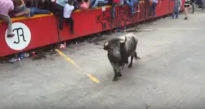 VIDEO: Toro lo mata en pleno callejón de la Huamantlada
