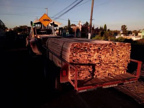 Video: Asegura PROFEPA 51 toneladas de carbón, 70 M3 de madera