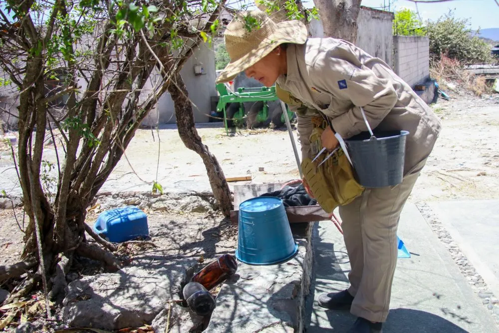 De enero a la fecha, 80 municipios de Puebla registraron dengue: Salud