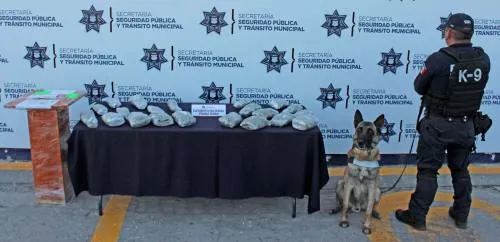Aseguró Ssptm de Puebla alrededor de cuatro kilogramos de posible marihuana
