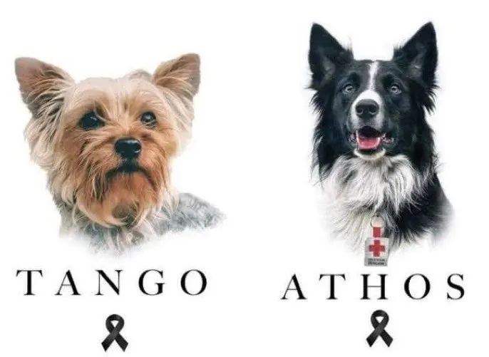 Tango y Athos Cruz Roja