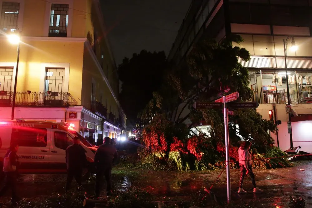 Un muerto y decenas de árboles caídos, deja torrencial lluvia en la ciudad de Puebla