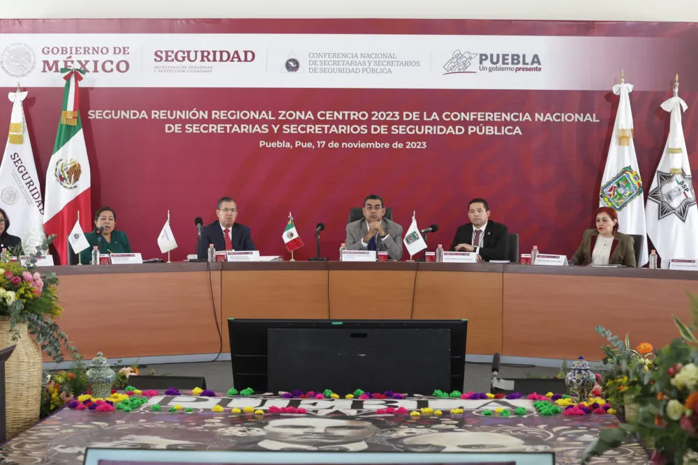 Seguridad Ciudadana