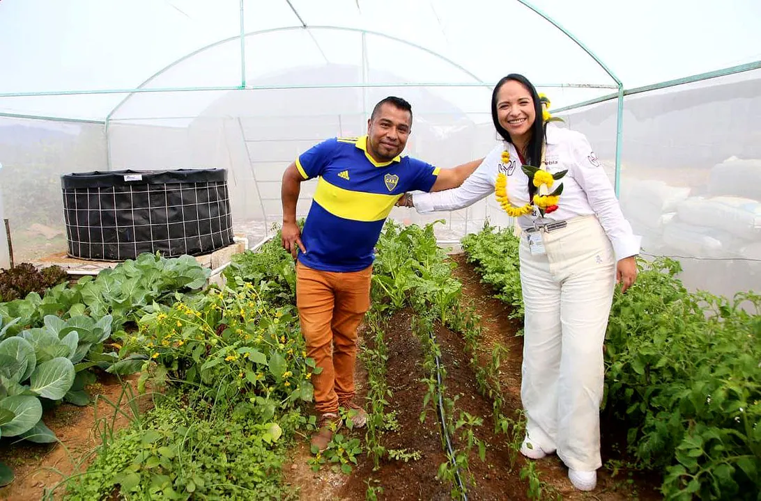 Bienestar Modulos Autosuficiencia Alimentaria Tepanco De Lopez
