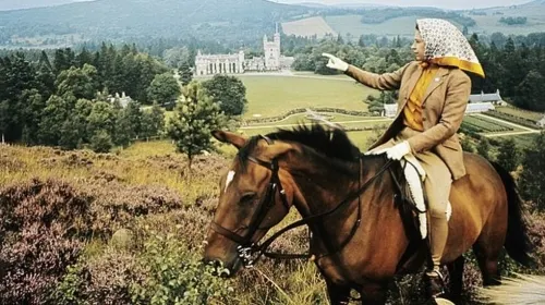 Mueren por “enfermedad devastadora” cinco ponis de la Reina Isabel II en finca de Escocia