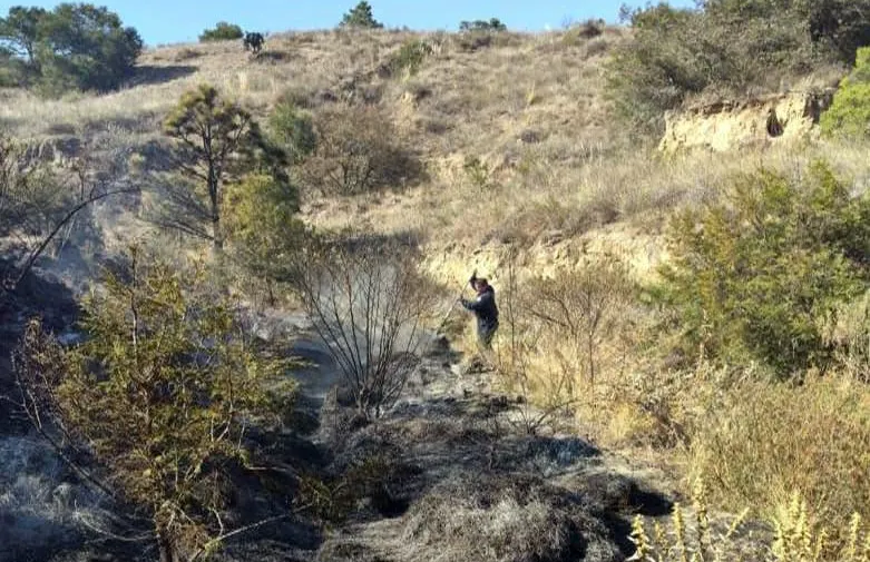 incendio-forestal-cerro-ciudad-serdan