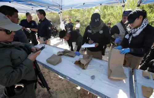 Hallan casi 200 restos óseos en el Valle de Juárez, Chihuahua